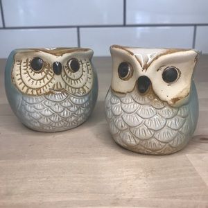 Ceramic Owl Succulent Pots (Blue)